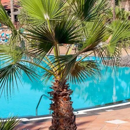 Club Tamarindo Premium * Corralejo